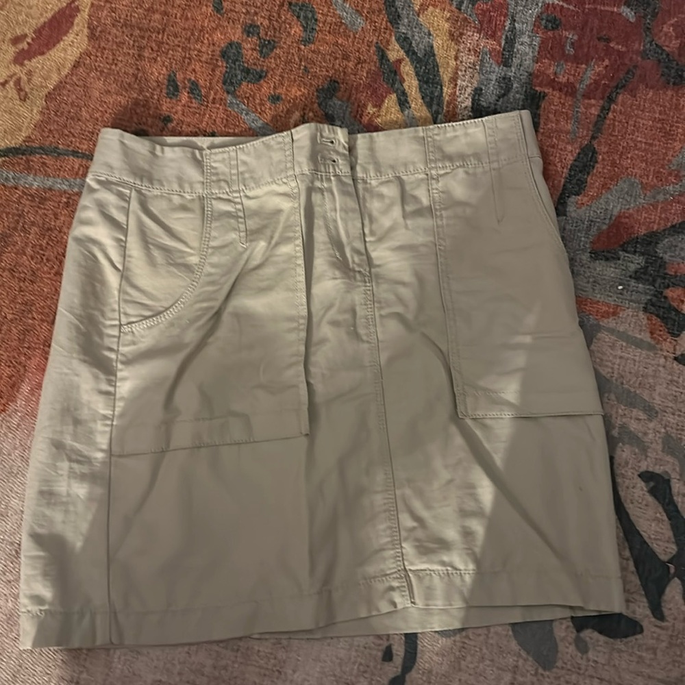 Ann Taylor skirt